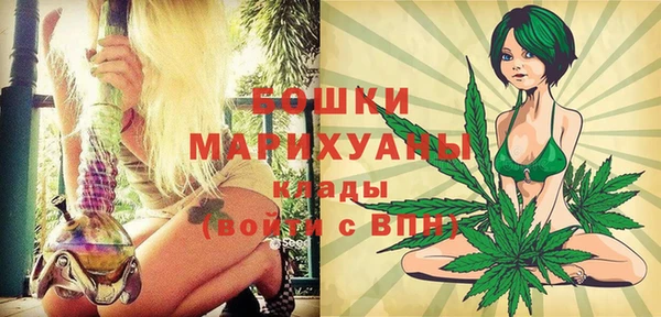 прущие грибы Белоозёрский