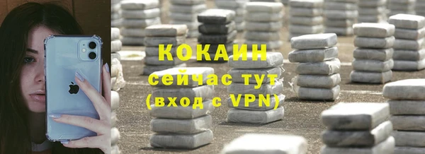 сатива Баксан