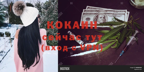 прущие грибы Белоозёрский