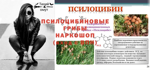 прущие грибы Белоозёрский