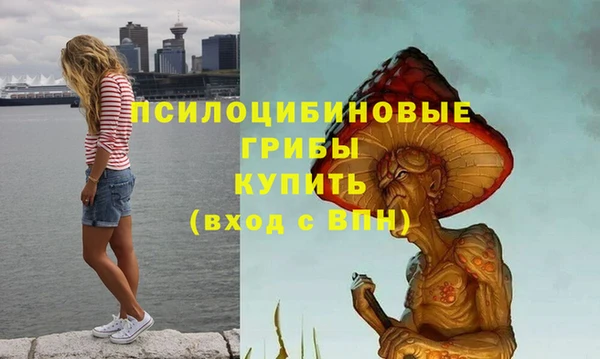 сатива Баксан