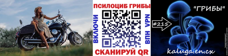 Псилоцибиновые грибы мицелий  Кубинка 