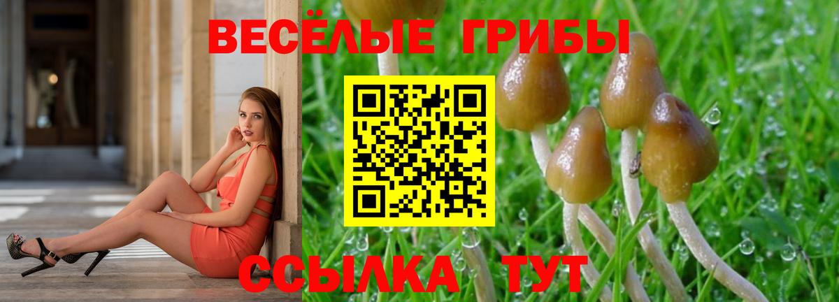 Псилоцибиновые грибы Кубинка
